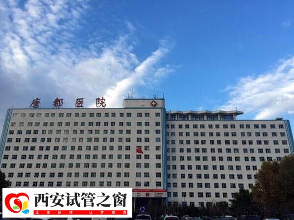 西安唐都医院试管婴儿费用多少(图1) 西安唐都医院试管婴儿费用多少(图1)
